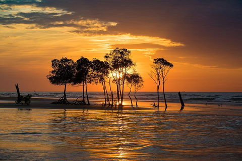 Darwin Self-Guided Audio Tour - Brisbane Tourism 2