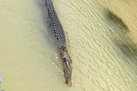 Kakadu & Katherine Gorge Full Day Air Tour, Helicopter & Cruise - Tourism Brisbane 6