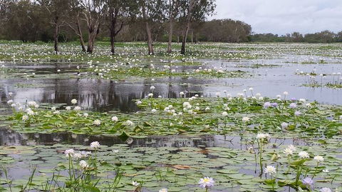 Kakadu, Nourlangie And Yellow Waters Tour From Darwin - Tourism Brisbane 12