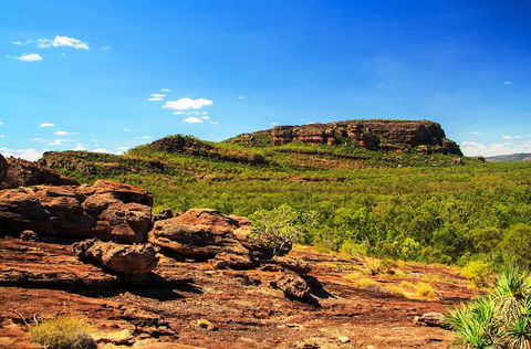 Kakadu, Nourlangie And Yellow Waters Tour From Darwin - Tourism Brisbane 34