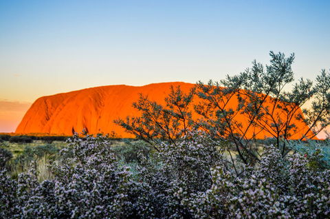 Uluru Sunrise And Kata Tjuta Half Day Trip - Tourism Brisbane 2