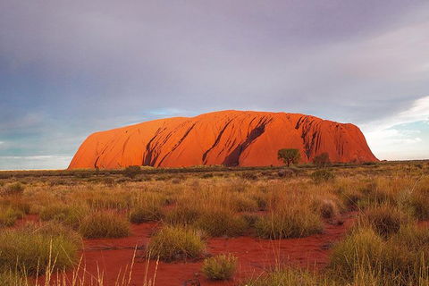 Uluru (Ayers Rock) Sunset Tour - Brisbane 4u 6