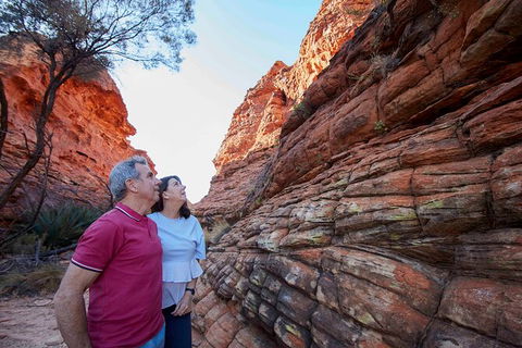 3-Day Alice Springs To Uluru (Ayers Rock) Via Kings Canyon Tour - Tourism Brisbane 17