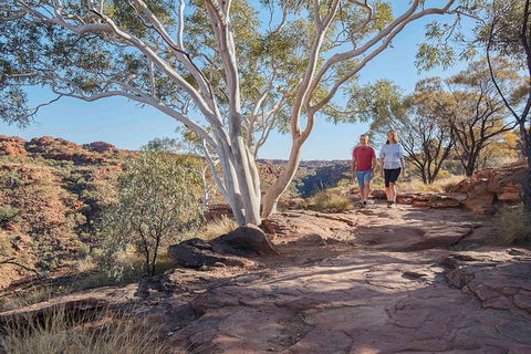 3-Day Tour From Uluru (Ayers Rock) To Alice Springs Via Kings Canyon - Tourism Brisbane 26