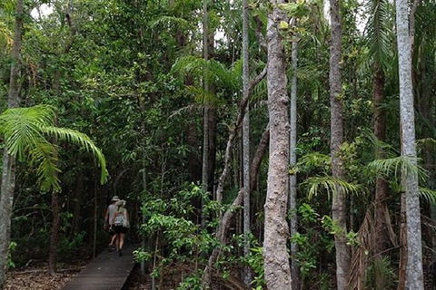 Litchfield National Park And Jumping Crocodile Cruise - Tourism Brisbane 5