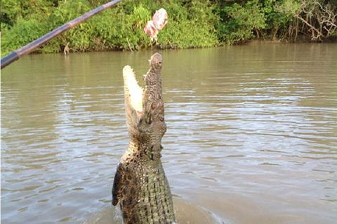 Litchfield National Park And Jumping Crocodile Cruise - Tourism Brisbane 10
