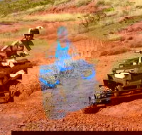 Aussie Outback Air and Land Tour Including Quad Bike Ride - Tourism Brisbane