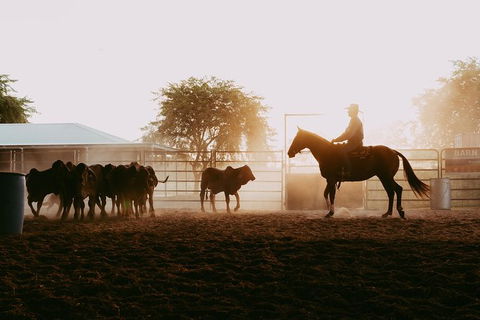 Skip-the-Line Katherine Outback Experience Show Ticket - Tourism Brisbane 3
