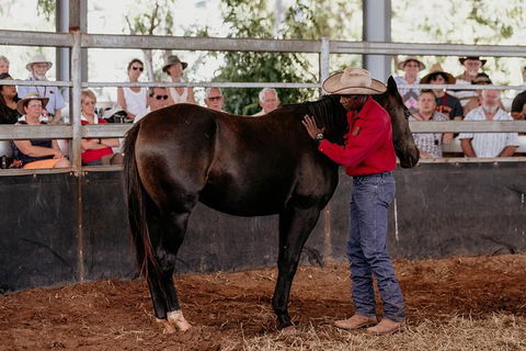 Skip-the-Line Katherine Outback Experience Show Ticket - Tourism Brisbane 10