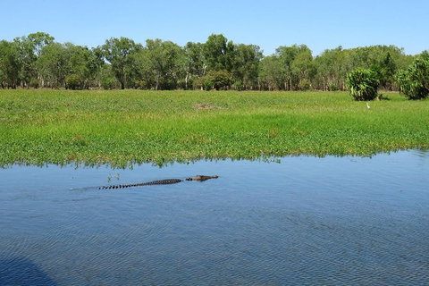 Darwin To Kakadu Day Trip By Air Including Yellow Water Cruise - Tourism Brisbane 8