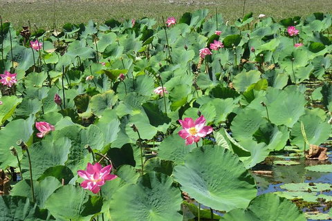 Darwin To Kakadu Day Trip By Air Including Yellow Water Cruise - Tourism Brisbane 10
