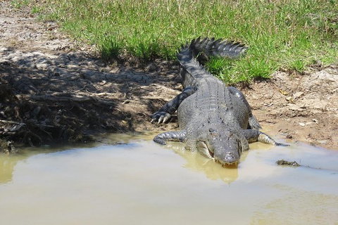 Darwin To Kakadu Day Trip By Air Including Yellow Water Cruise - Tourism Brisbane 5