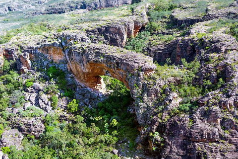 Darwin To Kakadu Day Trip By Air Including Yellow Water Cruise - Tourism Brisbane 13