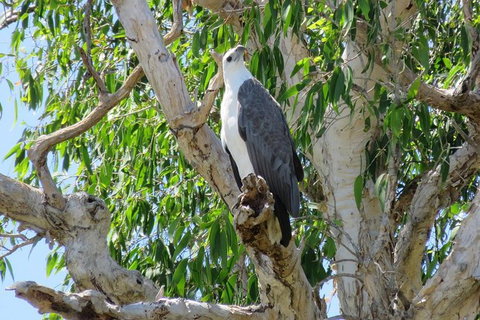 Darwin To Kakadu Day Trip By Air Including Yellow Water Cruise - Tourism Brisbane 6