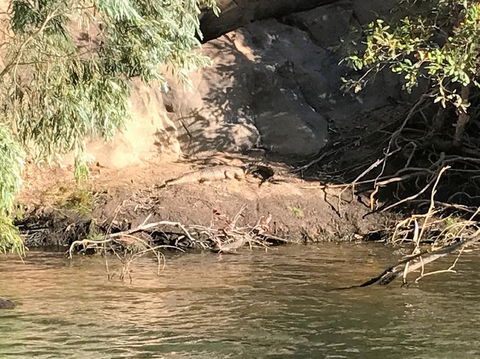 Nitmiluk (Katherine) Gorge 3.5-Hour Sunset Dinner Boat Tour - Tourism Brisbane 4