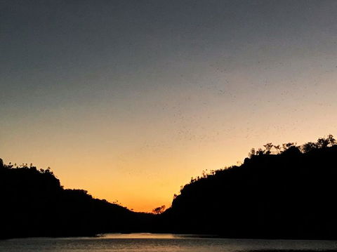Nitmiluk (Katherine) Gorge 3.5-Hour Sunset Dinner Boat Tour - Tourism Brisbane 9