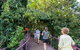 Walk The Darwin Botanic Gardens - thumb 1