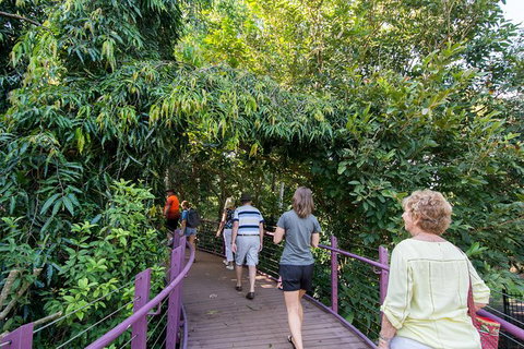Walk The Darwin Botanic Gardens - Brisbane Tourism 3