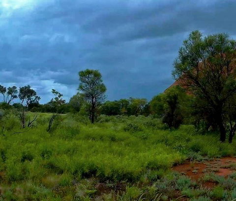 3-Day Ayers Rock To Alice Springs Camping Tour Including Kings Canyon, Kata Tjuta And Uluru - Tourism Brisbane 11