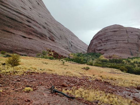 3-Day Ayers Rock To Alice Springs Camping Tour Including Kings Canyon, Kata Tjuta And Uluru - Tourism Brisbane 4