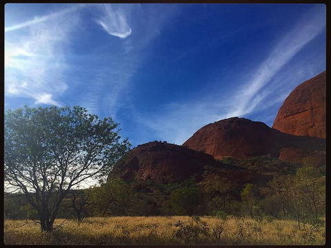 3-Day Ayers Rock To Alice Springs Camping Tour Including Kings Canyon, Kata Tjuta And Uluru - Tourism Brisbane 14