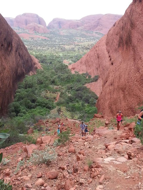 3-Day Ayers Rock To Alice Springs Camping Tour Including Kings Canyon, Kata Tjuta And Uluru - Tourism Brisbane 7