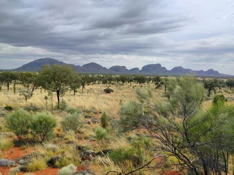 3-Day Ayers Rock To Alice Springs Camping Tour Including Kings Canyon, Kata Tjuta And Uluru - Tourism Brisbane 5