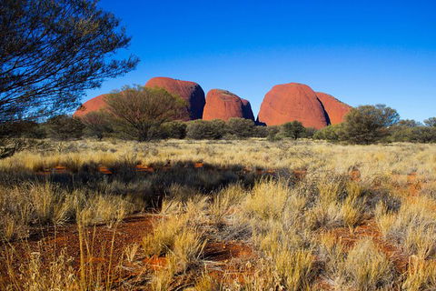 Kata Tjuta Sunrise And Valley Of The Winds Half-Day Trip - Tourism Brisbane 11