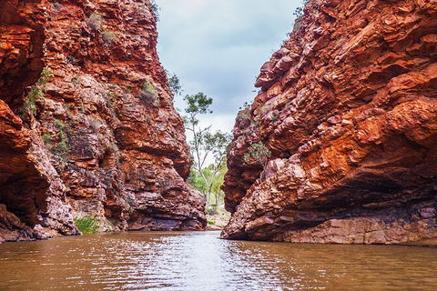 Uluru (Ayers Rock) To Alice Springs One-Way Shuttle - Brisbane 4u 9