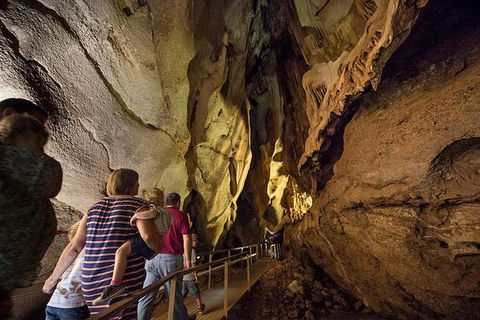 Cutta Cutta Caves Nature Park Guided Tours - Tourism Brisbane 0