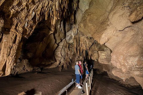 Cutta Cutta Caves Nature Park Guided Tours - Tourism Brisbane 3