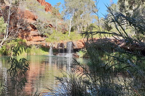 20 Day Darwin To Perth Adventure - Tourism Brisbane 10