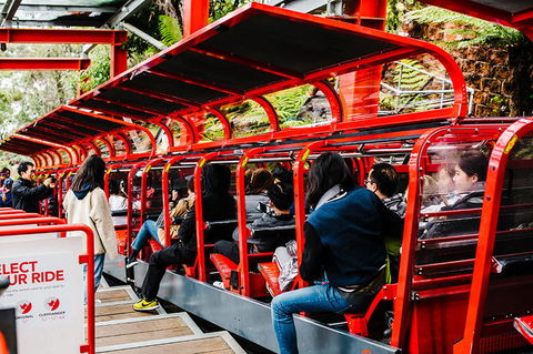 All-Inclusive Blue Mountains Day Trip With River Cruise - Brisbane Tourism 7