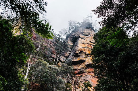 All-Inclusive Blue Mountains Day Trip With River Cruise - Brisbane Tourism 3