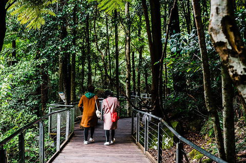 All-Inclusive Blue Mountains Day Trip With River Cruise - Brisbane Tourism 10