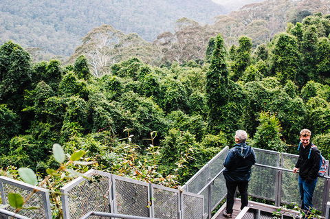 All-Inclusive Blue Mountains Day Trip With River Cruise - Brisbane Tourism 2