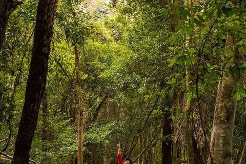All-Inclusive Blue Mountains Day Trip With River Cruise - Brisbane Tourism 26