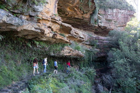 All-Inclusive Blue Mountains Day Trip With River Cruise - Brisbane Tourism 38