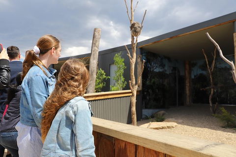 All-Inclusive Blue Mountains Day Trip With River Cruise - Brisbane Tourism 23