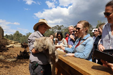All-Inclusive Blue Mountains Day Trip With River Cruise - Brisbane Tourism 27