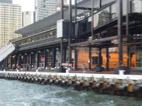 Sydney Harbour Hop-on Hop-off Cruise - Tourism Brisbane 10