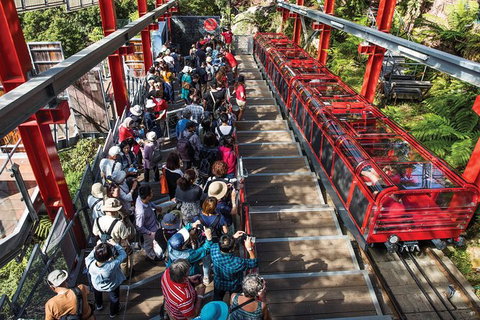 Private Guided Tour: Blue Mountains Tour From Sydney - Brisbane Tourism 10