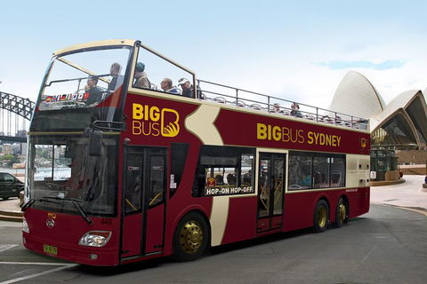 Sydney Combo: Hop-On Hop-Off Harbor Cruise And Hop-On Hop-Off City Bus Tour - Tourism Brisbane 1