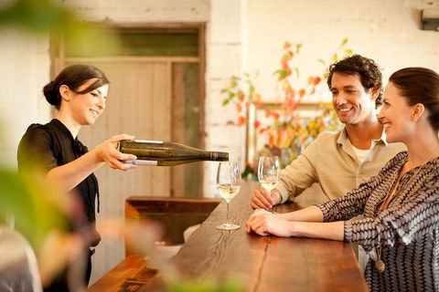 Scenic Hunter Valley Winery Tour With Boutique Wineries & Local Cheese - Tourism Brisbane 7