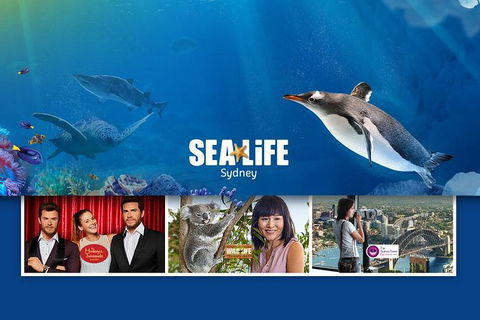 Sydney Attractions Pass: SEA LIFE Aquarium, Sydney Tower Eye, WILD LIFE Zoo And Madame Tussauds - Tourism Brisbane 0