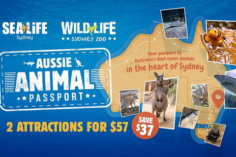 Sydney Attractions Pass: SEA LIFE Aquarium, Sydney Tower Eye, WILD LIFE Zoo And Madame Tussauds - Tourism Brisbane 4