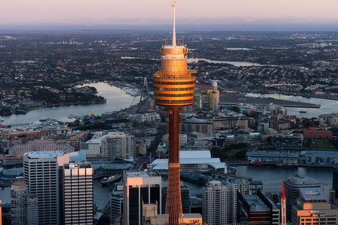 Sydney Attractions Pass: SEA LIFE Aquarium, Sydney Tower Eye, WILD LIFE Zoo And Madame Tussauds - Tourism Brisbane 8
