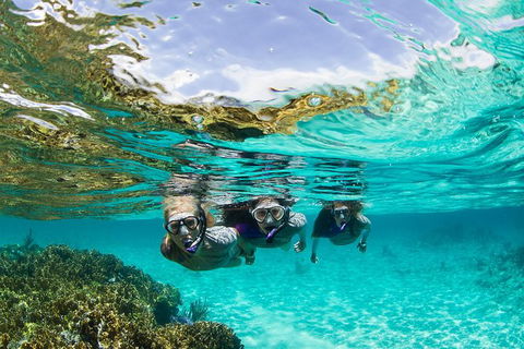 Sydney 3-Hour Snorkeling Tour - Tourism Brisbane 0