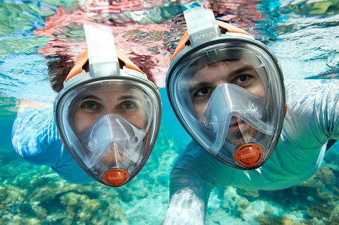Sydney 3-Hour Snorkeling Tour - Tourism Brisbane 1