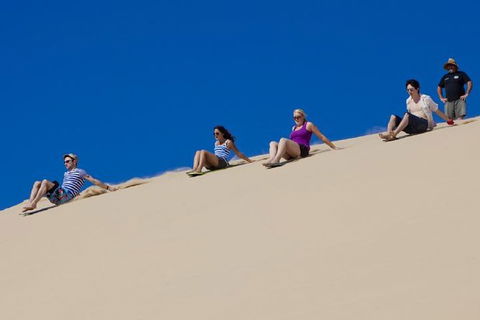 Port Stephens Day Tour From Sydney Including 4WD, Sandboarding And Dolphins - Tourism Brisbane 1